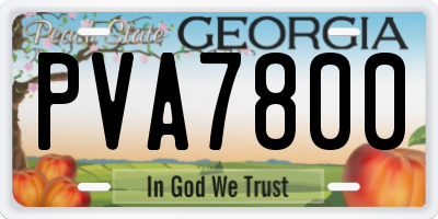 GA license plate PVA7800