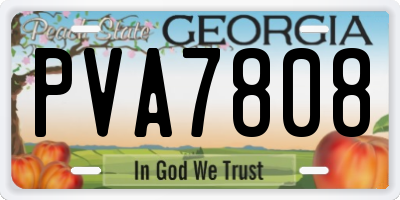 GA license plate PVA7808