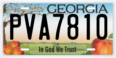 GA license plate PVA7810