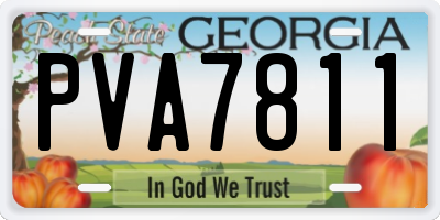 GA license plate PVA7811
