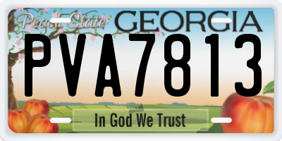 GA license plate PVA7813