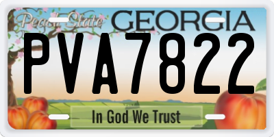 GA license plate PVA7822