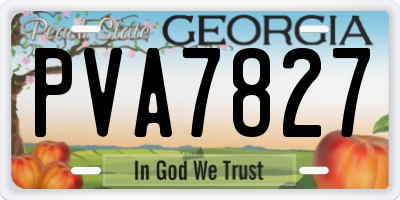 GA license plate PVA7827