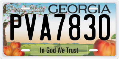 GA license plate PVA7830