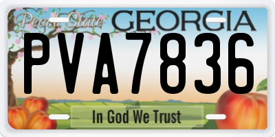 GA license plate PVA7836