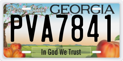 GA license plate PVA7841