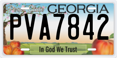 GA license plate PVA7842