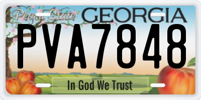 GA license plate PVA7848