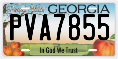 GA license plate PVA7855