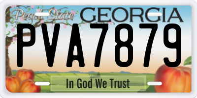GA license plate PVA7879