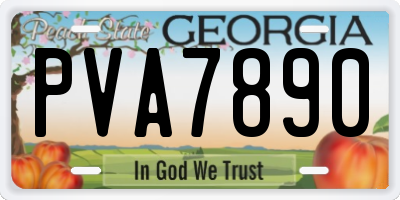 GA license plate PVA7890