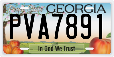 GA license plate PVA7891