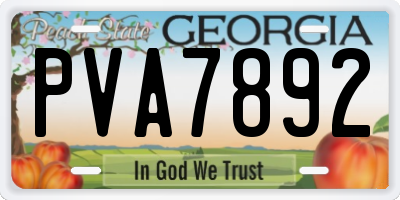 GA license plate PVA7892