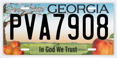 GA license plate PVA7908