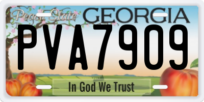 GA license plate PVA7909