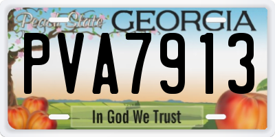 GA license plate PVA7913
