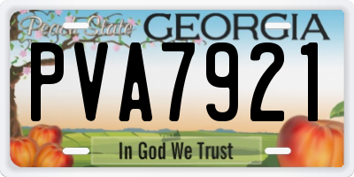 GA license plate PVA7921