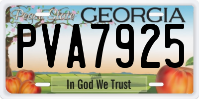 GA license plate PVA7925