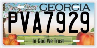 GA license plate PVA7929