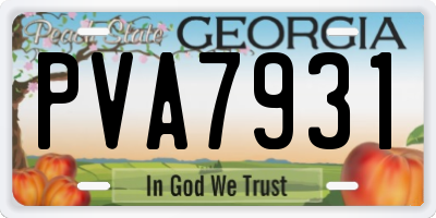 GA license plate PVA7931