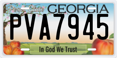 GA license plate PVA7945