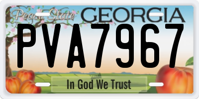 GA license plate PVA7967
