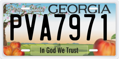 GA license plate PVA7971
