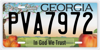 GA license plate PVA7972