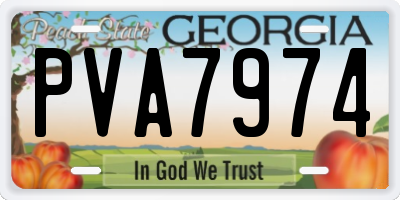 GA license plate PVA7974
