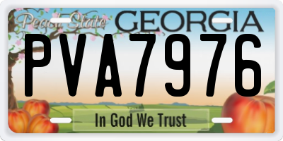 GA license plate PVA7976