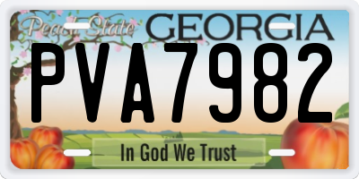 GA license plate PVA7982