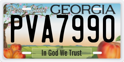 GA license plate PVA7990