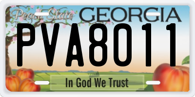 GA license plate PVA8011