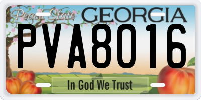 GA license plate PVA8016