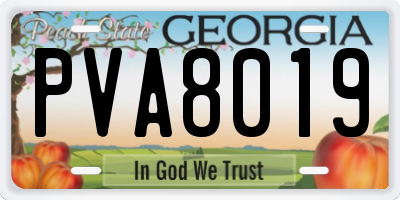 GA license plate PVA8019