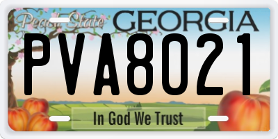 GA license plate PVA8021