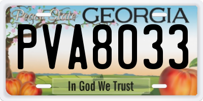 GA license plate PVA8033