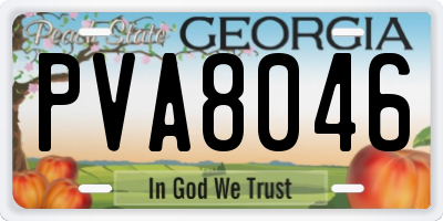 GA license plate PVA8046