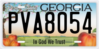GA license plate PVA8054