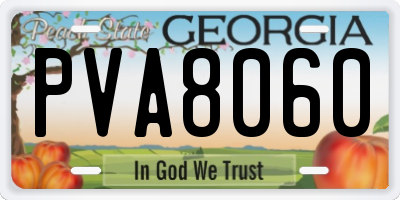 GA license plate PVA8060