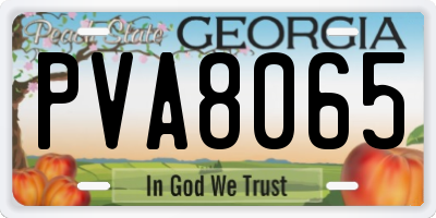 GA license plate PVA8065