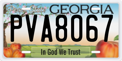 GA license plate PVA8067