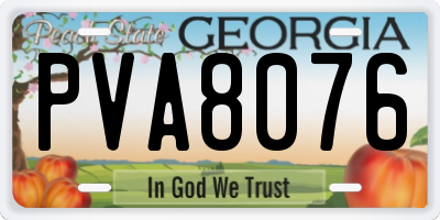 GA license plate PVA8076