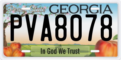 GA license plate PVA8078