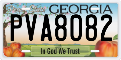 GA license plate PVA8082