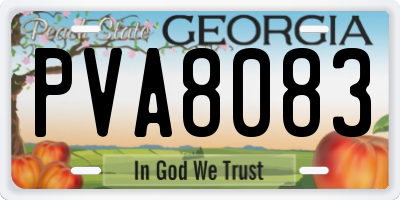 GA license plate PVA8083
