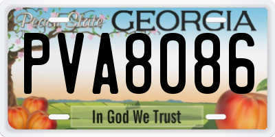 GA license plate PVA8086