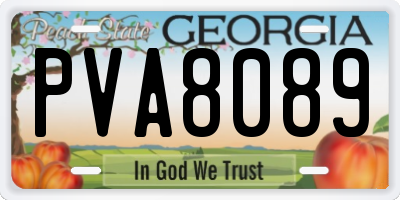 GA license plate PVA8089