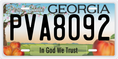 GA license plate PVA8092