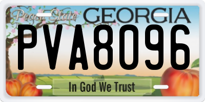 GA license plate PVA8096